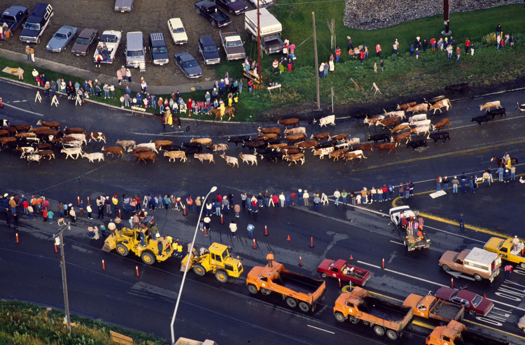 Great Montana Centennial Cattle Drive